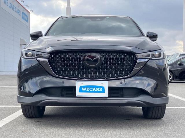 ＣＸ－８ ＸＤブラックトーンエディション　新品タイヤ／保証書／純正　ＳＤナビ／フリップダウンモニター／衝突安全装置／シートヒーター　前席／全方位モニター／車線逸脱防止支援システム／シート　ハーフレザー／ヘッドランプ　ＬＥＤ　全周囲カメラ（38枚目）