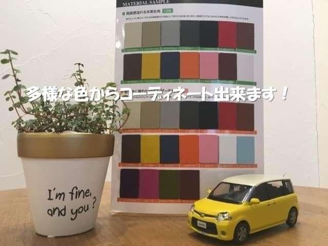 DICE-Gオリジナルカラーカングー風(16枚目)