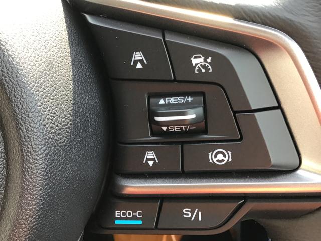 アドバンス 4WD SUV・パワーシート・シートヒーター(4枚目)