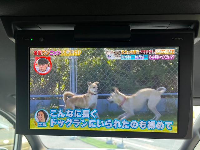 トヨタ ノア