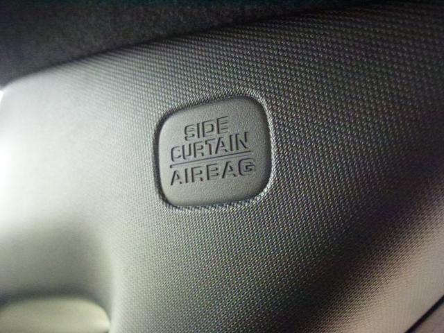 �^�]�ȏ���Ȃ͂������A�T�C�h�G�A�o�b�N�J�[�e���G�A�o�b�O�ŉ�����̏Ռ��ɂ��Ή��B