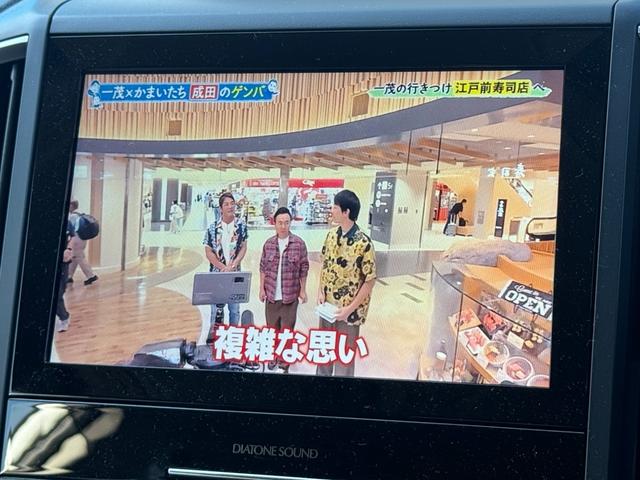 フォレスター スポーツ　ダイアトーンナビ　ＥＴＣ　バックカメラ　サイドカメラ　フロントカメラ　ハーフレザーシート　デジタルインナーミラー　全席シートヒーター　電動パーキングブレーキ　フルセグ視聴　Ｂｌｕｅｔｏｏｔｈ接続（40枚目）