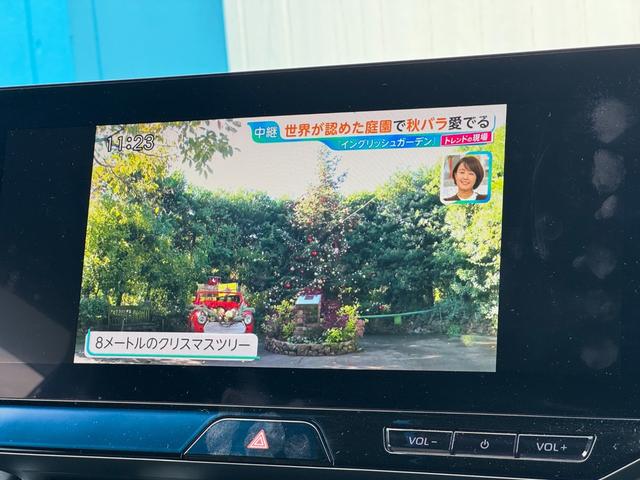 ハリアー Ｇ　１２．３インチオプションナビ　ＥＴＣ２．０　バックカメラ　ハーフレザーシート　デジタルインナーミラー　ワイヤレス充電　電動パーキングブレーキ　クルーズコントロール　フルセグ視聴　Ｂｌｕｅｔｏｏｔｈ接続（36枚目）