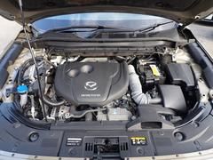 ���ʸ��ʤ����󥸥�롼������ˤ��Ƥ��ޤ��������ͤ˵������褯����ĺ������˥��󥸥�롼��˸¤餺����⤷�ä���ȥ��꡼�˥󥰺ѤߤǤ��� 5