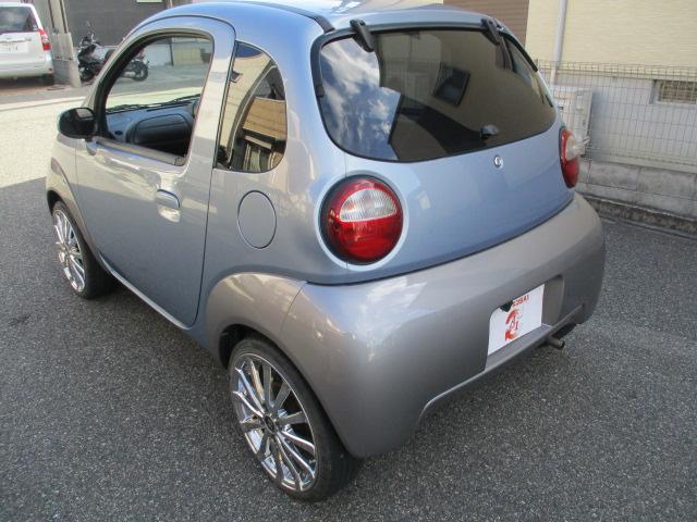 SUZUKI TWIN GASOLINE B COLOR PACKAGE