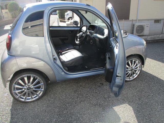 SUZUKI TWIN GASOLINE B COLOR PACKAGE