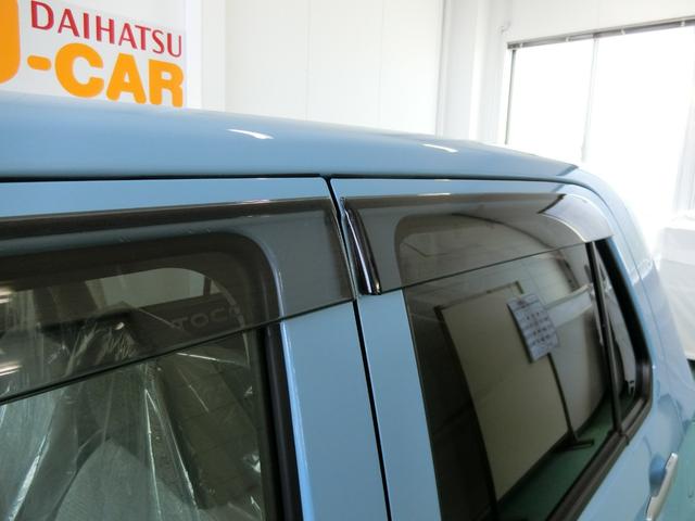 X SAIII バイザー マット バックカメラ付き(19枚目)