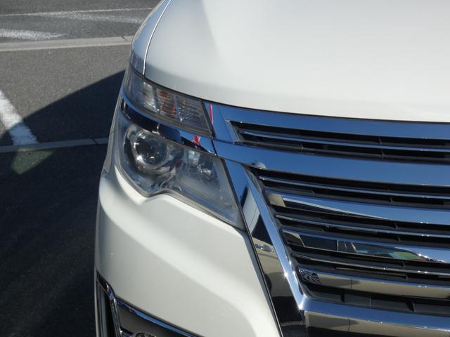 NISSAN ELGRAND RIDER
