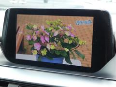 ����Ź�������Ǥ�õ���Τ��֤����Ұ�ݤȤʤäƤ�õ���פ��ޤ��������ͤΤ���˾�����ϤǤ������פ��ޤ��� 4