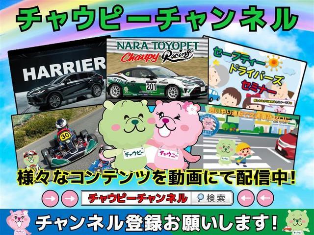 エレガンス フルセグ メモリーナビ DVD再生 後席モニター バックカメラ ETC LEDヘッドランプ ワンオーナー アイドリングストップ(17枚目)