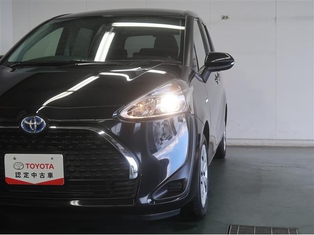 夜道の視界確保はこれでばっちり！想像以上に明るく照らしてくれます。