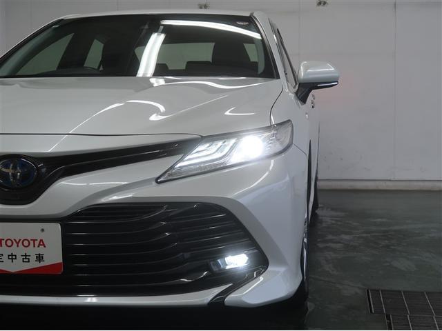 �k�d�c�w�b�h���C�g�ł��B�f�U�C�������ǂ��ƂĂ����邢�̂ŁA��Ԃ̑��s�∫�V��ł����S�ł��B�������������I