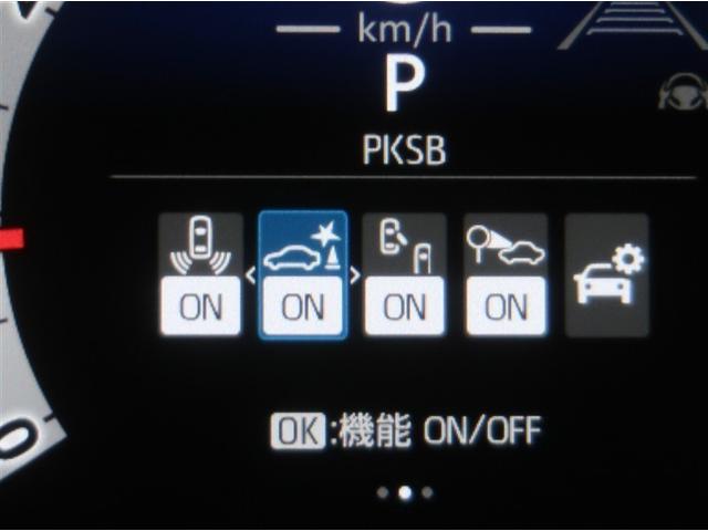 �T�|�J�[�r�Ƃ́A�ً}�u���[�L�ɉ����āA����҂ɑ����ƌ����Ă��铥�݊ԈႢ���̖h�~���T�|�[�g����@�\�ł��B�ڂ����͔̔��X�X�^�b�t�܂ł��q�ˉ������B