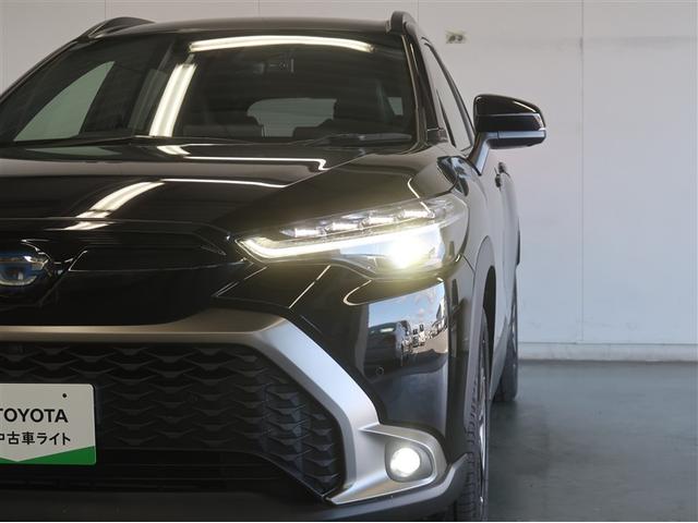 �k�d�c�w�b�h���C�g�ł��B�f�U�C�������ǂ��ƂĂ����邢�̂ŁA��Ԃ̑��s�∫�V��ł����S�ł��B�������������I