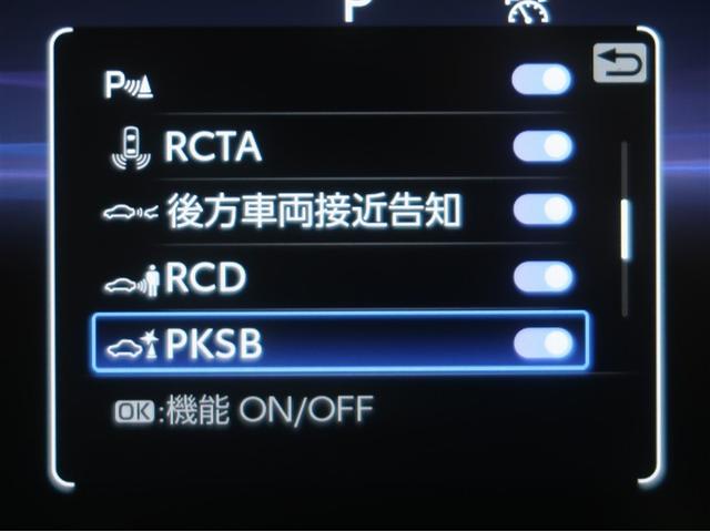 �T�|�J�[�r�Ƃ́A�ً}�u���[�L�ɉ����āA����҂ɑ����ƌ����Ă��铥�݊ԈႢ���̖h�~���T�|�[�g����@�\�ł��B�ڂ����͔̔��X�X�^�b�t�܂ł��q�ˉ������B