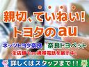 Ｚ　リアカメラ　プリクラッシュ　ＰＷシート　ＡＣ１００Ｖ電源　ＬＥＤランプ　オートクルーズ　アルミホイール　ドライブレコーダ　ＡＣ　運転席エアバッグ　横滑り防止装置　ＥＴＣ付　盗難防止システム　ＴＶ（40枚目）