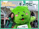 意外と出現率は高いです!奈良トヨペットのマスコットキャラクター『チャウピー』です!宜しくどうぞ〜♪