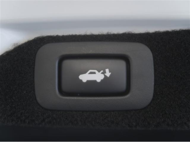 ＧＳ ＧＳ３００ｈ　Ｉパッケージ　Ｂモニター　オートクルーズ　ＡＷ　ＬＥＤヘッド　本革シート　ナビ＆ＴＶ　スマートキー　ＤＶＤ再生可　キーフリー　メモリーナビ　パワーシート　盗難防止システム　ＡＢＳ　ドライブレコーダー　ＥＴＣ（21枚目）