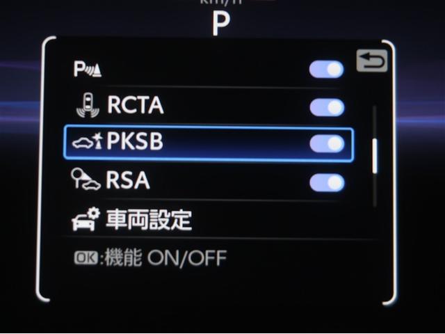 �T�|�J�[�r�Ƃ́A�ً}�u���[�L�ɉ����āA����҂ɑ����ƌ����Ă��铥�݊ԈႢ���̖h�~���T�|�[�g����@�\�ł��B�ڂ����͔̔��X�X�^�b�t�܂ł��q�ˉ������B