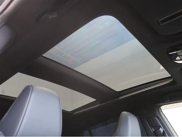 �����ɐS�n�ǂ���������B�p�m���}���[�����[�t�t���ł��B�L�����v�Ő���𒭂߂��܂��I