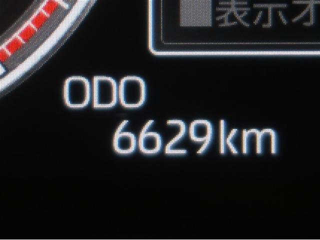 �܂��܂����ꂩ�炨��蒸���鑖�s�����ł��B