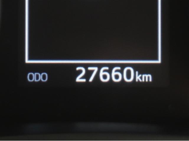 �܂��܂����ꂩ�炨��蒸���鑖�s�����ł��B