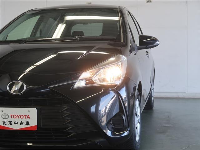 �铹�̎��E�m�ۂ͂���ł΂�����I�z���ȏ�ɖ��邭�Ƃ炵�Ă���܂��B