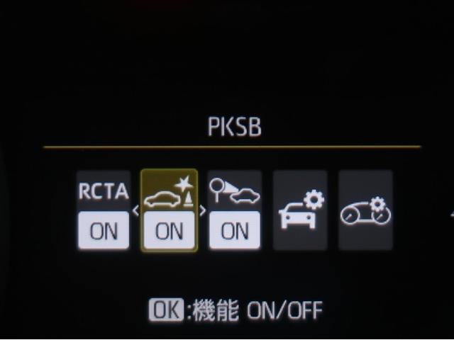 �T�|�J�[�r�Ƃ́A�ً}�u���[�L�ɉ����āA����҂ɑ����ƌ����Ă��铥�݊ԈႢ���̖h�~���T�|�[�g����@�\�ł��B�ڂ����͔̔��X�X�^�b�t�܂ł��q�ˉ������B