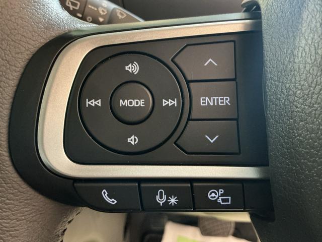 タント Ｘ　ドライブレコーダ　アイドリングストップ　ブレーキサポート　電動ミラー　ナビＴＶ　スマートキーシステム　ＥＴＣ車載器　ＬＥＤライト　キーレスキー　Ｂカメラ　車線逸脱警報　メモリナビ　雹害（40枚目）