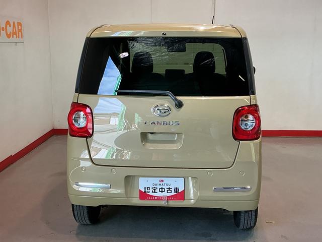 ムーヴキャンバス セオリーG(4枚目)