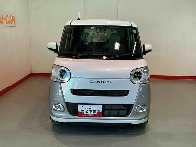 ムーヴキャンバス ストライプスＧ（3枚目）