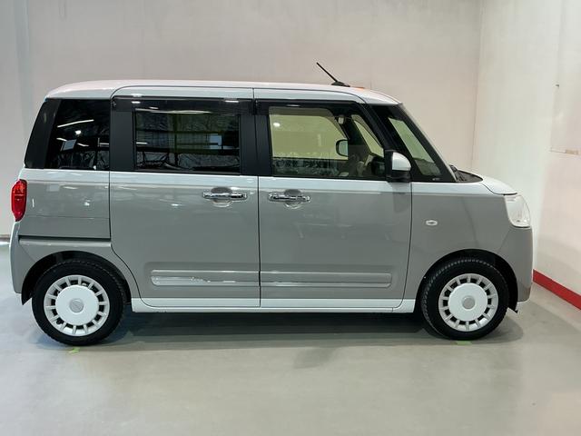 ムーヴキャンバス ストライプスＧ（5枚目）