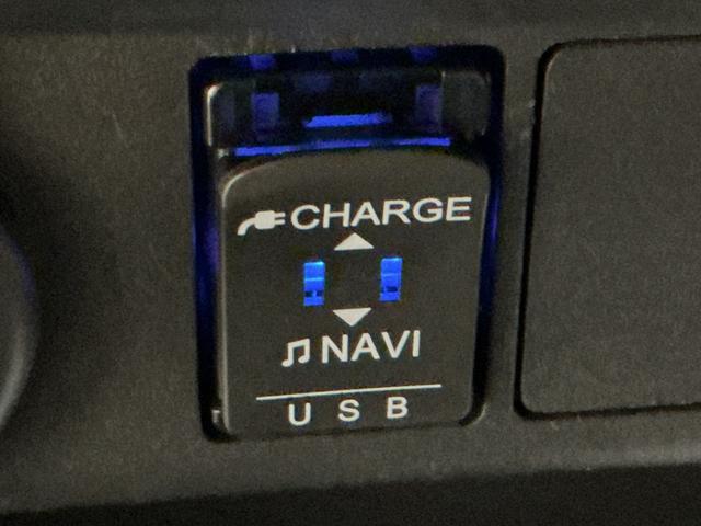 ムーヴキャンバス Ｇメイクアップリミテッド　ＳＡＩＩＩ　Ｉ－ＳＴＯＰ　前後誤発進抑制　Ｂカメラ　電動格納式ドアミラー　ナビ　車線逸脱警告　ＥＴＣ車載器　パノラマモニター　ＬＥＤ　Ｓキー　横滑り防止　オートマチックハイビーム（46枚目）