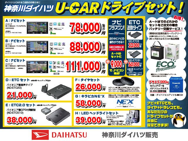 アクティバG リミテッド SAIII(2枚目)