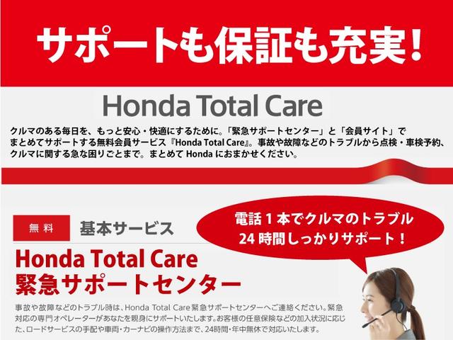 G エアロ ジャストセレクション 社外HDDナビ ワンセグ(21枚目)