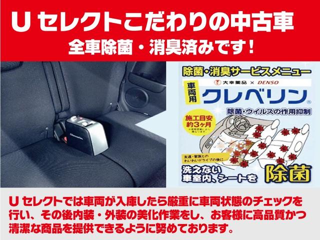 EX・マスターピース 純正メモリーナビ サンルーフ リアカメ(29枚目)