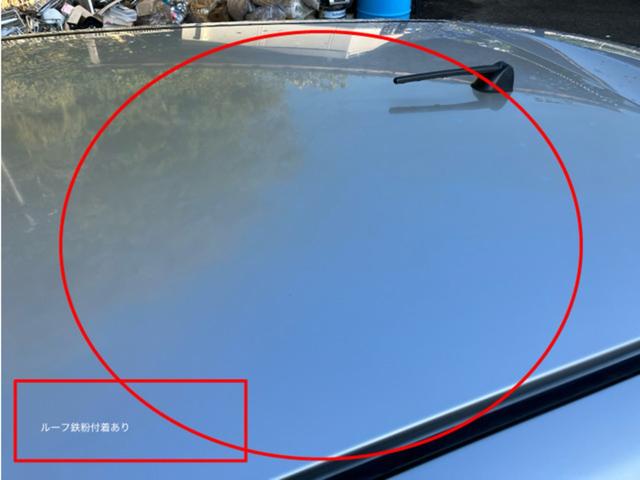 リーフ Ｘ（３０ｋｗｈ）　ＣａｒｓＯｓａｋａ：Ｊ４８０５（11枚目）