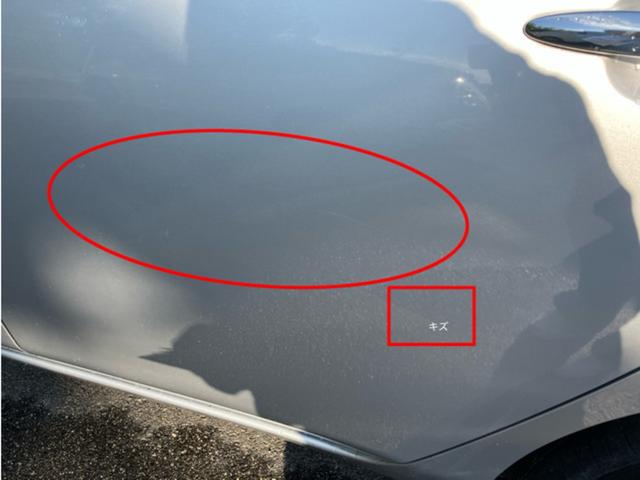 リーフ Ｘ（３０ｋｗｈ）　ＣａｒｓＯｓａｋａ：Ｊ４８０５（12枚目）