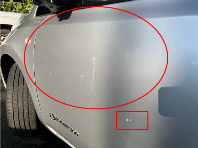 リーフ Ｘ（３０ｋｗｈ）　ＣａｒｓＯｓａｋａ：Ｊ４８０５（14枚目）