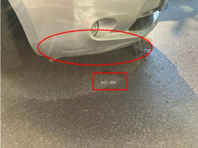 リーフ Ｘ（３０ｋｗｈ）　ＣａｒｓＯｓａｋａ：Ｊ４８０５（17枚目）