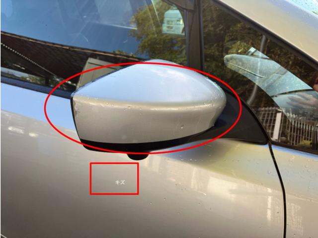 リーフ Ｘ（３０ｋｗｈ）　ＣａｒｓＯｓａｋａ：Ｊ４８０５（18枚目）