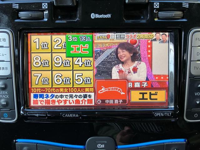 リーフ Ｘ（３０ｋｗｈ）　ＣａｒｓＯｓａｋａ：Ｊ４８０５（51枚目）