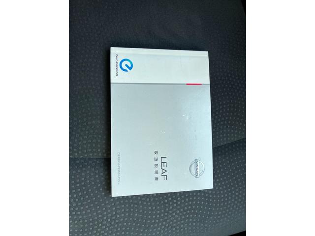 リーフ Ｘ（３０ｋｗｈ）　ＣａｒｓＯｓａｋａ：Ｊ４８０５（56枚目）