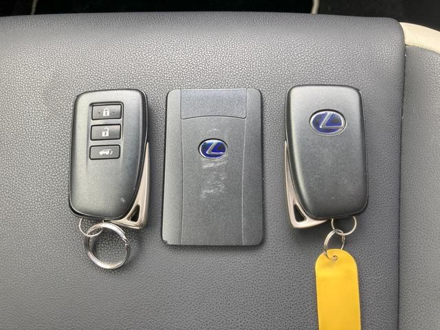 ＮＸ ＮＸ３００ｈブラックシークエンス　ＣａｒｓＯｓａｋａ：Ｉ２７０１（42枚目）