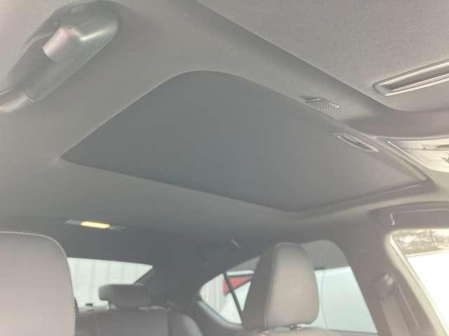 ＩＳ ＩＳ３５０　Ｆスポーツ　ＴＲＤ　ＣａｒｓＯｓａｋａ：Ｉ８７８５（32枚目）