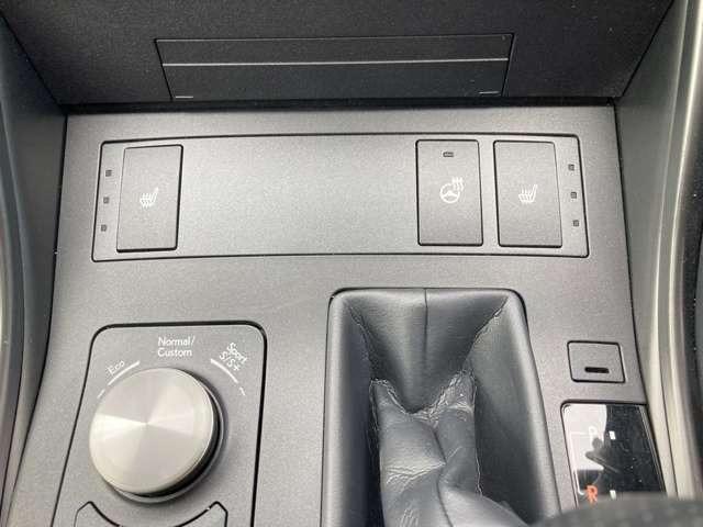 ＩＳ ＩＳ３５０　Ｆスポーツ　ＴＲＤ　ＣａｒｓＯｓａｋａ：Ｉ８７８５（46枚目）