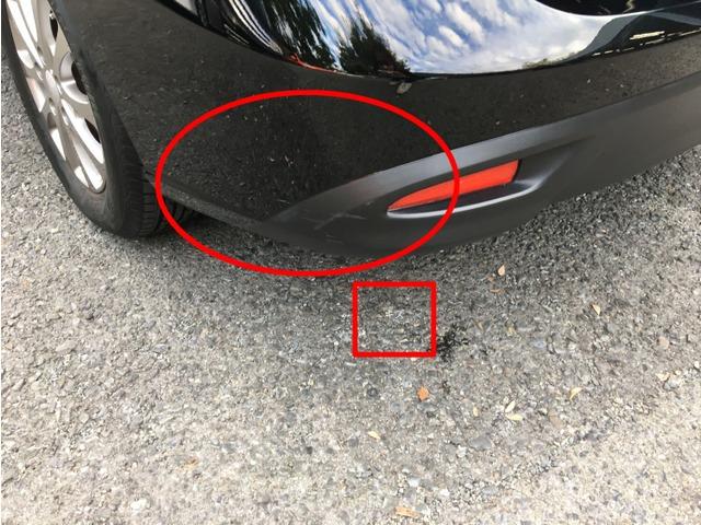 プレマシー ２０Ｅ　２６２１（12枚目）