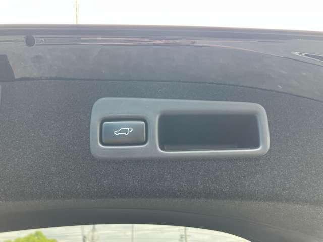 ハリアー プレミアム　ＣａｒｓＯｓａｋａ：Ｅ３６８２（38枚目）