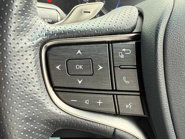 ＬＳ ＬＳ５００　Ｆスポーツ（18枚目）