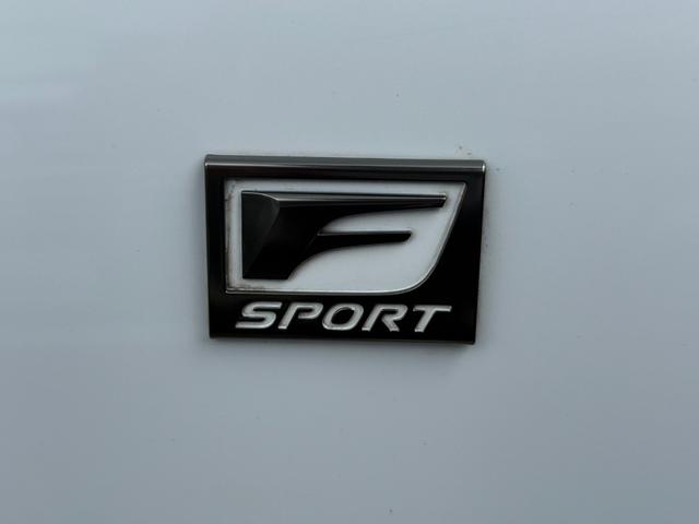 ＬＳ ＬＳ５００　Ｆスポーツ（50枚目）